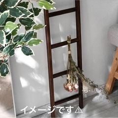 インテリアはしごの画像