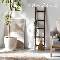 インテリアはしごの画像