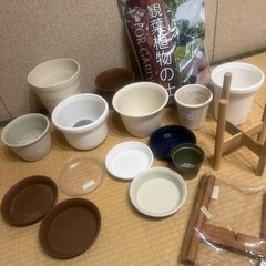 観葉植物　植木鉢　セット