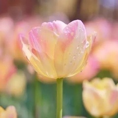 本当にやりたいことの見つけ方👀【無料個別相談会】