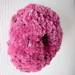〚最終値下げ〛大和の灯リースの画像
