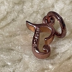 ネックレス トップのみ Tの画像