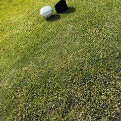 一緒にゴルフ⛳️の上達に励む人を探してます。