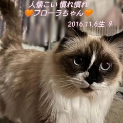 里親様決定 ｱﾘｶﾞﾄｳｺﾞｻﾞｲﾏｼﾀ!!慣れ慣れ❤️人大好き...