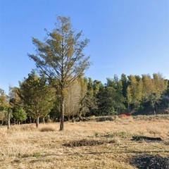 【売地】赤村 実質761坪ズバリ価格応談‼️ 150万円から大幅値引き！本気の方のみ連絡ください。 - 土地販売/土地売買