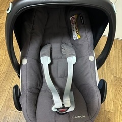 マキシコシの画像