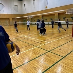 バレーボールメンバー募集 - スポーツ