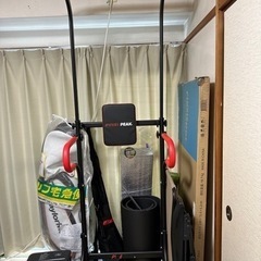 PYKES PEAK (パイクスピーク) ぶら下がり健康器