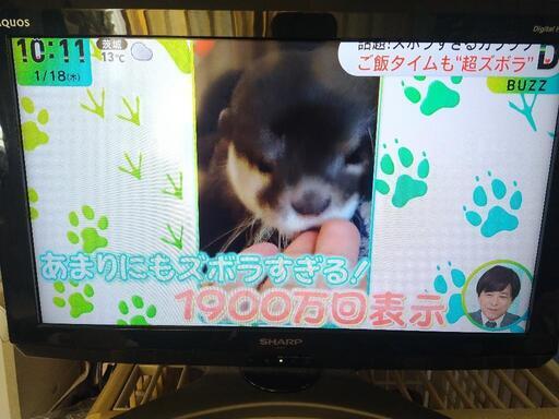 シャープ テレビ 26インチ