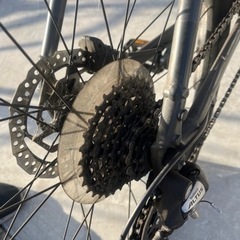 ジャイアント　グラビエの画像