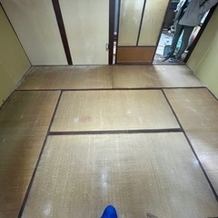 畳