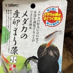 【新品】メダカの産卵　お値下げしました‼️　まりも　藻　魚　メダカ　メダカ用品　産卵用の画像