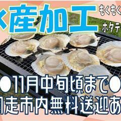 【期間限定】ホタテの貝むき＜網走＞
