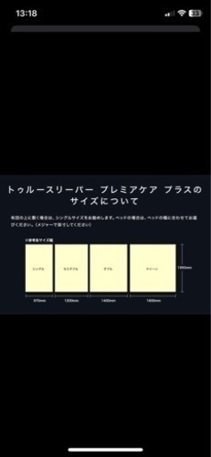 【決まりました】トゥルースリーパー　クイーンマット