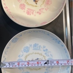 ピーターラビット　パスタ皿　22cm 2枚