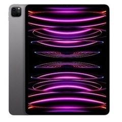 iPad Pro （第6世代）Wi-Fi ➕Cellular 1T