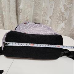チャンピオン リュックの画像