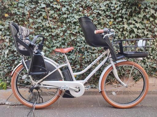 新品未使用バッテリー 大容量12.3ah カラーコーデ パス クルー 3