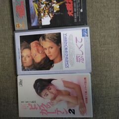 ＶHSです。1本だけは勘弁下さい