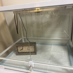 パンテオンの中古が安い!激安で譲ります・無料であげます(6 パンテオンの中古が安い!激安で譲ります・無料であげます(6