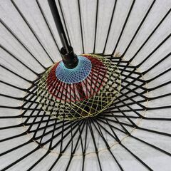 舞踊傘（紫）の画像