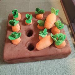 犬用  おもちゃ  の画像