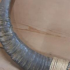 水牛　角　オブジェ　飾り　ネイティブ　の画像