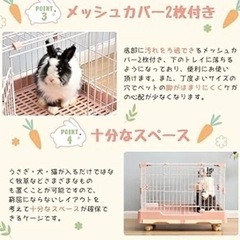ウサギゲージ　の画像