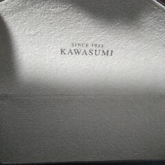 kawasumi クリップ式サングラスの画像