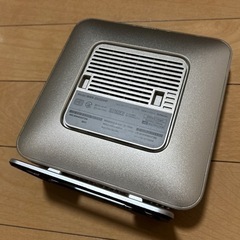 WSR-2533DHP シャンパンゴールドの画像