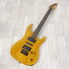 Aria Pro II MAGNA series アリアプロ2 ...