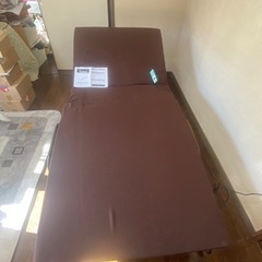 電動ベッド　レマン　Gen-010