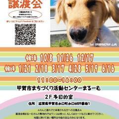 1月21日 保護犬　保護猫　譲渡会