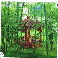 竹 ミニチュア 6cm 100本の画像