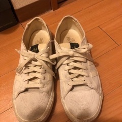 多少汚れています！二足ですの画像