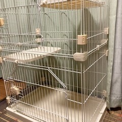 (お話中)キャットゲージの画像