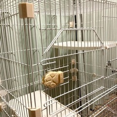 (お話中)キャットゲージの画像