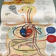 ちゃれんじ1年生　はてなはっけんブック 1年分 12冊まとめての画像