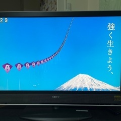 チューナー不可SONY BRAVIA 46型