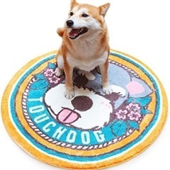 ❤️新品❤️ 犬　猫　円形マット　玄関マットの画像