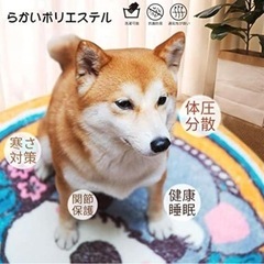 ❤️新品❤️ 犬　猫　円形マット　玄関マットの画像