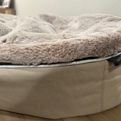 ペットベット　ambient lounge アンビエントラウンジ サイズMの画像