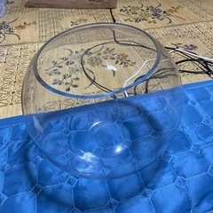 金魚鉢