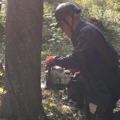 伐採、剪定、枝打ち