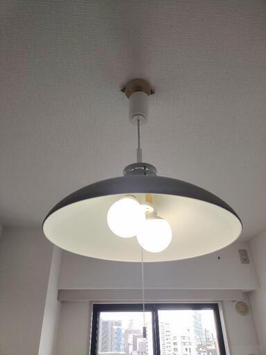 電気