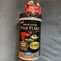 ★新品★ ジェックス GEX ワイルドフレークプロバイオ 熱帯魚・メダカ用フレークフード 昆虫原料・色揚げ成分・善玉菌配合100g 金魚 餌 ペットフードの画像