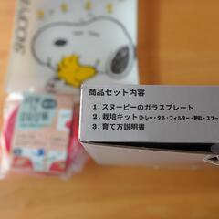 スヌーピーの栽培キットの画像