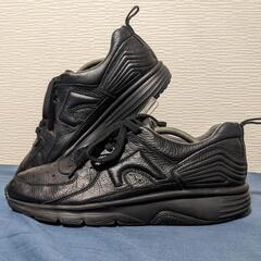 【値下げしました】CAMPER Driftの画像