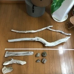 流木の画像