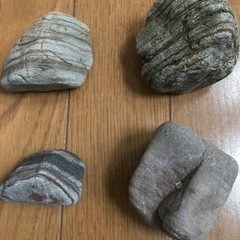 流木の画像